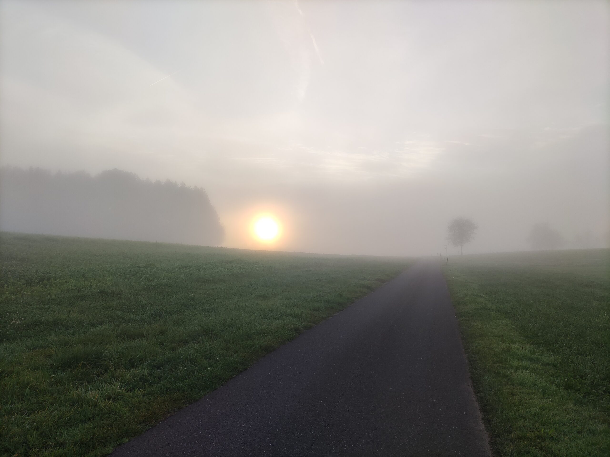 Sunrise In Switzerland